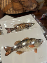 Vaughan Pursell Spanjer’s Limited Edition Prints (Pursell Farms)