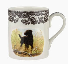 Spode Collection