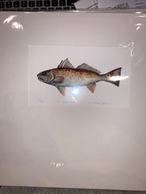Vaughan Pursell Spanjer’s Limited Edition Prints (Pursell Farms)