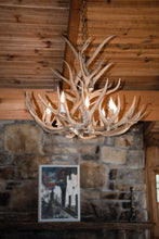 8 Light Reagan Tall Mule Deer Antler Chandelier