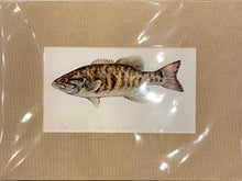 Vaughan Pursell Spanjer’s Limited Edition Prints (Pursell Farms)