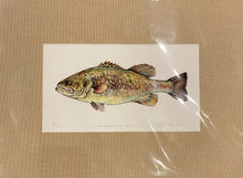 Vaughan Pursell Spanjer’s Limited Edition Prints (Pursell Farms)