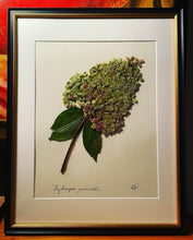 Southern Botanicals Framed Art