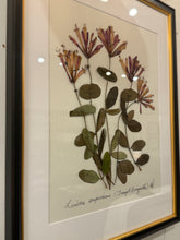 Southern Botanicals Framed Art