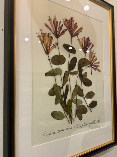 Southern Botanicals Framed Art