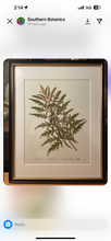 Southern Botanicals Framed Art