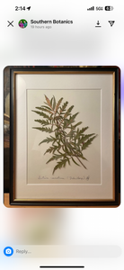 Southern Botanicals Framed Art