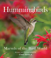 Hummingbirds: Marvels of the Bird World