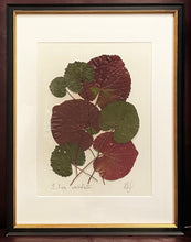 Southern Botanicals Framed Art