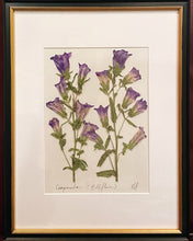 Southern Botanicals Framed Art