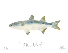 Mary Beth Meeks Fine Art