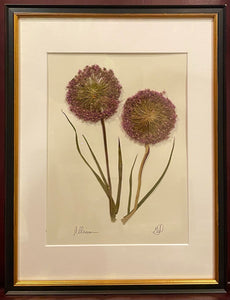 Southern Botanicals Framed Art