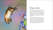 Hummingbirds: Marvels of the Bird World