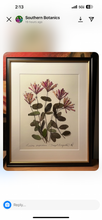 Southern Botanicals Framed Art