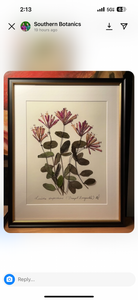 Southern Botanicals Framed Art