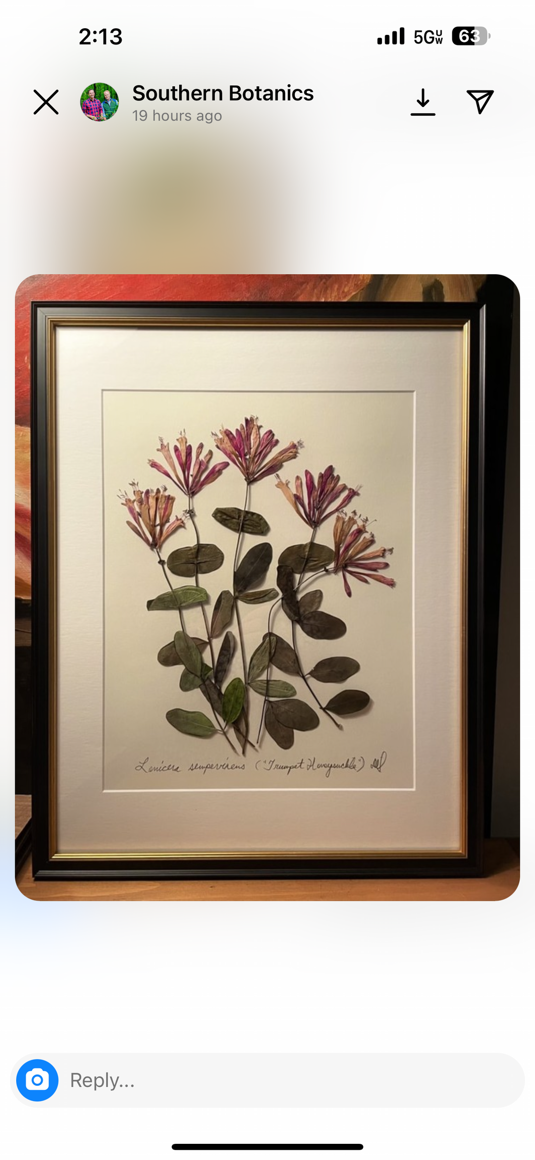 Southern Botanicals Framed Art