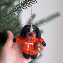 College Football Collection - Tennessee Volunteers