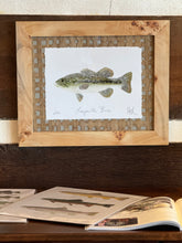 Mary Beth Meeks Fine Art