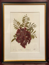 Southern Botanicals Framed Art