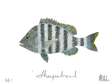 Mary Beth Meeks Fine Art