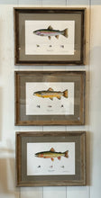 Fish by Denney Fine Art Framed 21x27