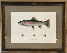 Fish by Denney Fine Art Framed 21x27
