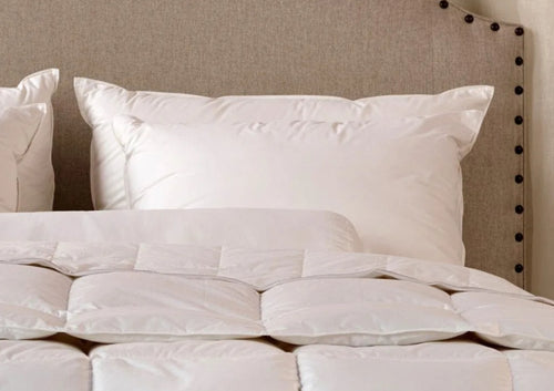 Savannah Collection Sleeping Pillow
Pillow Size:
Standard - 20