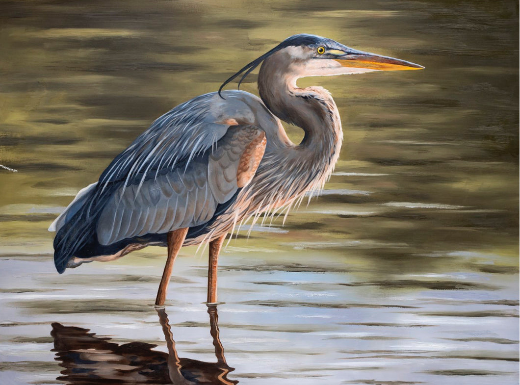 Denney Blue Heron Framed 21x27