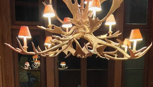 Caribou & Fallow Deer Chandelier