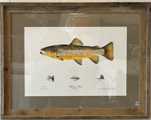 Fish by Denney Fine Art Framed 21x27