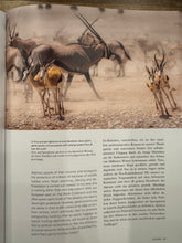 Hunting - the Ultimate Book