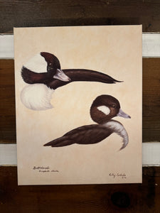 Buffleheads Giclee’ Canvas by Kelly Seibels