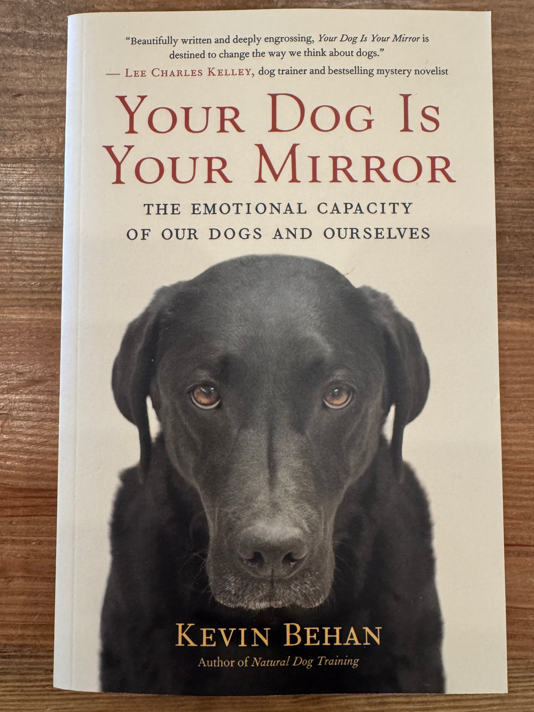 Your Dog Is Your Mirror by Kevin Behan