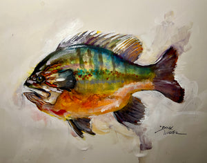 Longear Sunfish by Artist Dirk Walker