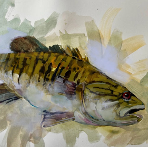 Smallmouth Bass by Artist Dirk Walker