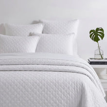 Amity Collection by Pine Cone Hill