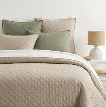 Amity Collection by Pine Cone Hill