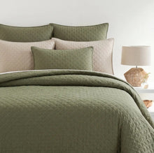 Amity Collection by Pine Cone Hill