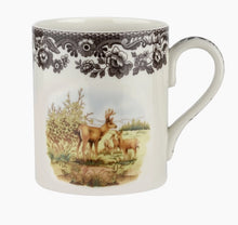 Spode Collection