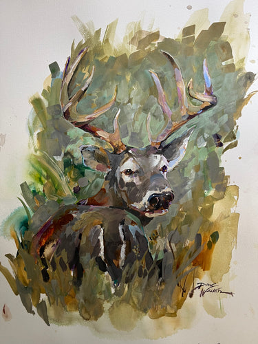 CAUTIOUS BUCK BY ARTIST DIRK WALKER