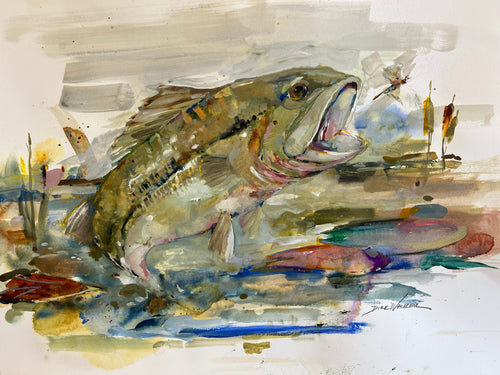 SNACK ON THE GO - SHOAL BASS by Artist Dirk Walker
