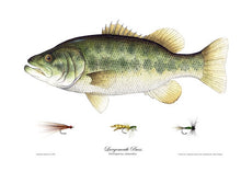 Fish by Denney Fine Art