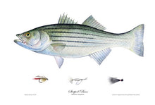 Fish by Denney Fine Art