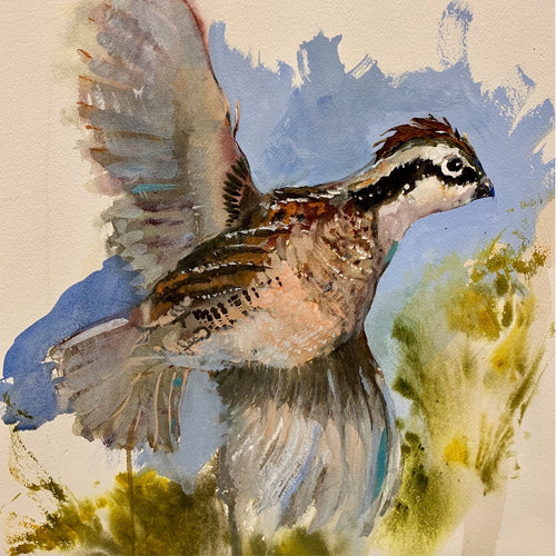 BLUE SKIES AHEAD - BOBWHITE QUAIL by Artist Dirk Walker