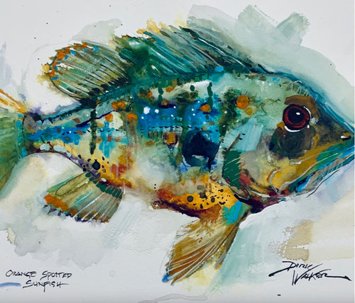 SUNFISH by Artist Dirk Walker