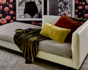 Vintage Velvet Throw