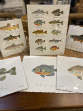 Mary Beth Meeks Fine Art